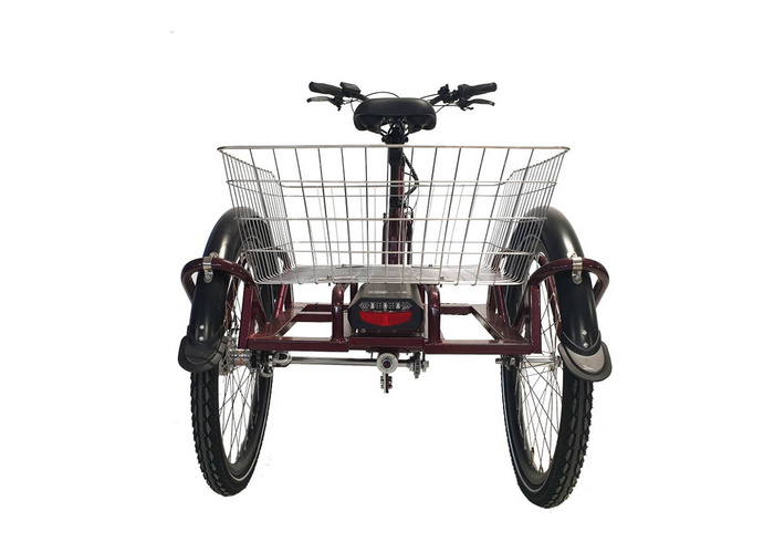 electric tricycle EcoEdition Maxi