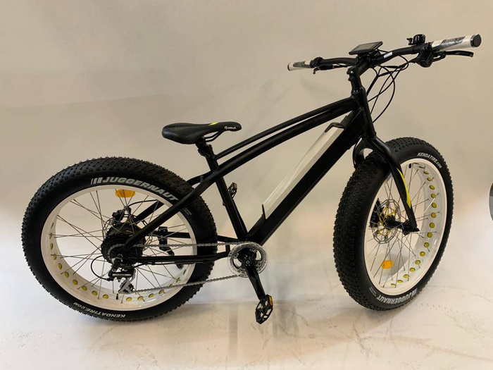 electric bicycle GEOBIKE Big Apple / battery 14.5 Ah